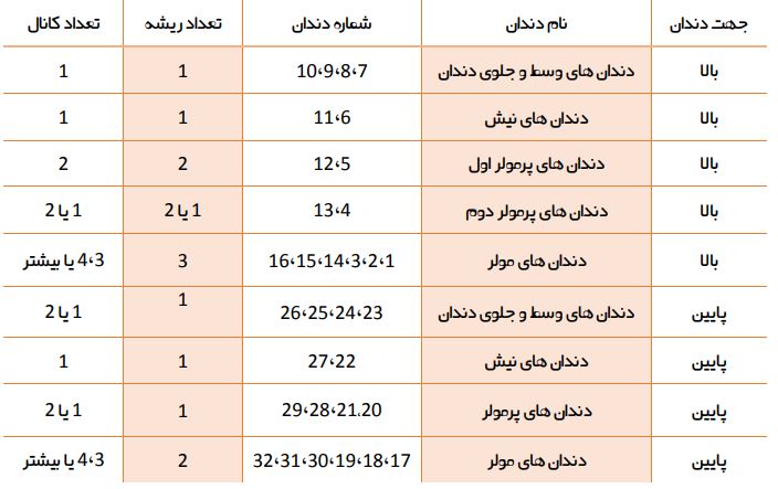 تعداد کانال دندان.JPG